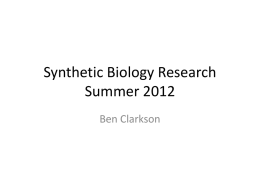 Media:Synthetic_Biology_Research_Summer_2012_presentation.pptx