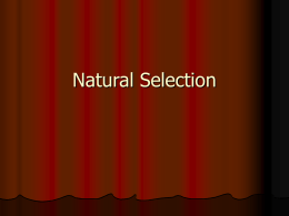 Natural Selection ppt A