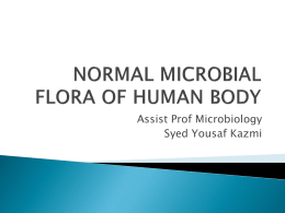 Normal flora of human body