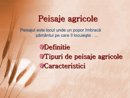 peisaje agricole