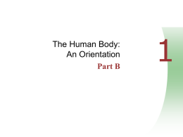 LECTURE 2