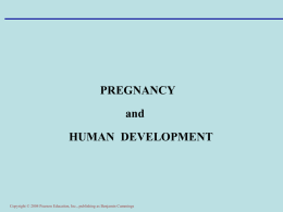 Pregnancy Human Development Part 1