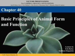 Topic 40-Animal Structure Function