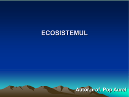 lectie4 ecosistemul