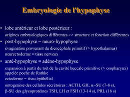 Anapathologie de l'hypophyse (Diaporama)
