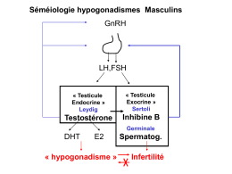 Hypogonadisme masculin (Diaporama)