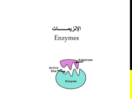 lab_8-enzymes.pptx