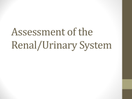 assessment_of_the_renalurinary_system.ppt
