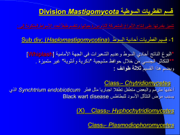 قسم الفطريات السوطية Division Mastigomycota