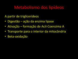 Metabolismo de lipídios.ppt