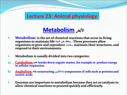 lecture_23_physiology-3.ppt