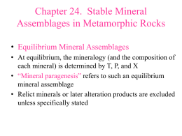 Ch 24 Mineral Assemblages in metamorphic rocks_0.ppt