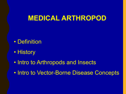 1-_introduction_to_arthropods.ppt