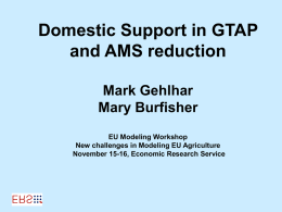 Analysis of AMS Reduction using GTAP (Global Trade Analysis Project applied general equilibrium model)