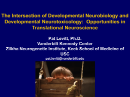 The Intersection of Developmental Neurobiology and Developmental Neurotoxicology: Opportunities in Translational Neuroscience