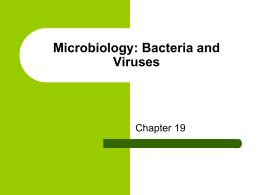 Microbiology Notes.ppt