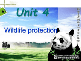 下载：高一英语（上）必修二Unit 4 wildlife protection(reading)
