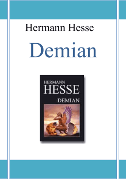 Demian Hesse - iis bachelet