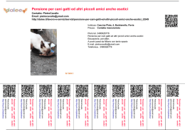Pensione per cani gatti ed altri piccoli amici anche esotici