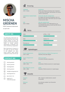 Resume - Mischa Groenen