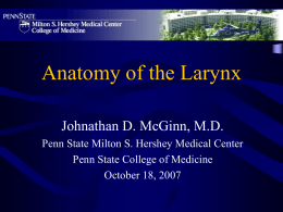 Anatomy_of_the_Larynx.ppt