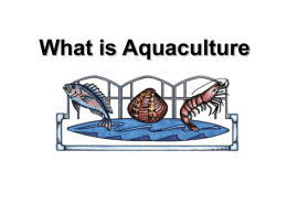 Mod4_PPTWhat_is_aquaculture.ppt
