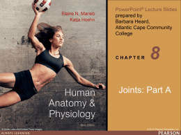 Chapter 8 ppt A