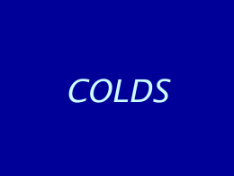colds 2.ppt
