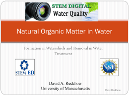 Natural Organic Material in Water