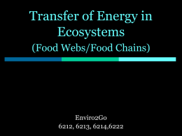 notes energy transfer in an ecosystem