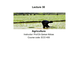 Lecture 30.ppt