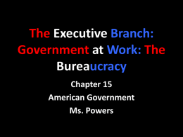 Chapter 15 The Bureaucracy-Powers