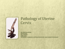 7-Pathology of Uterine Cervix 2016.ppt