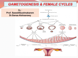 1- Gametogenesis.ppt
