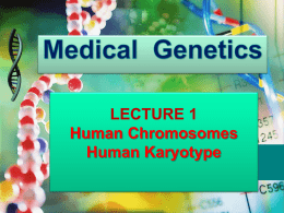 1- Human chromosomes and karyotype.ppt