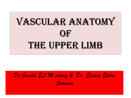 15- Vascular anatomy of the upper limb.ppt
