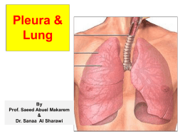 4-lung & pleura-2016.ppt