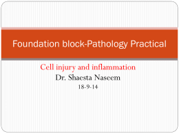 1- cell injury practical I (Fixed).pptx