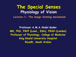 VISION-Lecture# 1-1429.ppt