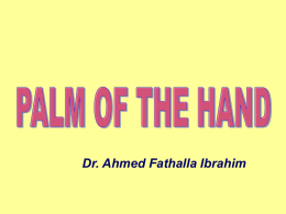 10-Palm of hand.ppt