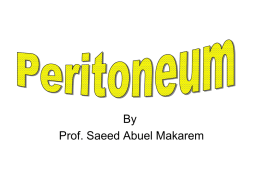 23-Peritoneum.ppt