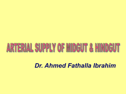 27-Arterial supply of mid & hindgut.ppt