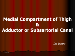 18-Medial Compb Thight New.ppt