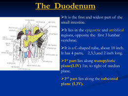 01-duodenum & pancreas_Dr.Sanaa.ppt