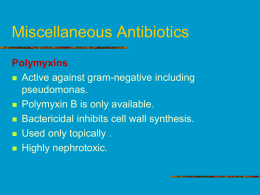 04. Antibiotics-3.ppt