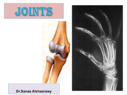 18-joints.ppt