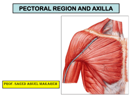 7-pectoral region & axilla.ppt