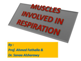 3-Muscles involved in Respiration.ppt