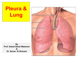4-lung & pleura-2015.ppt