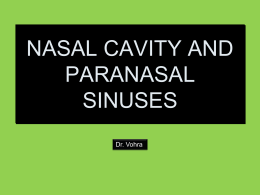22.NASAL CAVITY AND PARANASAL SINUSES.ppt